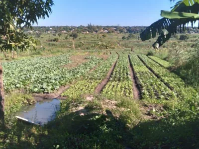 Terreno de 16000 m² disponivel para Venda em Zimpeto, Maputo